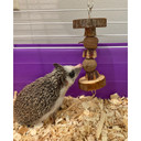 Exotic Nutrition Native Dumbbell - 5-1/2"x2-1/2"