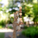 Exotic Nutrition Treetop Tower - 9" X 1-1/2"