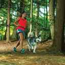 Terrain Dog Adjustable Belt Jogging Dog Leash - Black