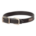 Terrain Dog X-Treme Adventure Dog Collar