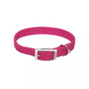 Coastal Pet Double-Ply Dog Collar