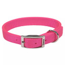 Coastal Pet Double-Ply Dog Collar