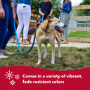Coastal Pet Double-Ply Dog Leash