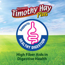 Kaytee Timothy Plus Carrots Hay - 25 oz