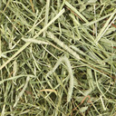 Kaytee Timothy Plus Mint Hay - 25 oz