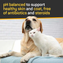 Silver Honey Skin & Coat Care Nourish & Soothe Leave‑In Conditioner 16 oz