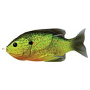 Live Target Hollow Body Sunfish