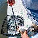 Bubba Hook Extractor - 6"