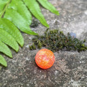 BNR Tackle Soft Bead - Clown - 10mm