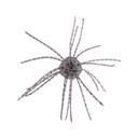 Strike King Tumbleweed Salted Bait