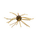 Strike King Tumbleweed Salted Bait