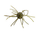 Strike King Tumbleweed Salted Bait