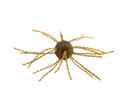 Strike King Tumbleweed Salted Bait