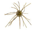Strike King Tumbleweed Salted Bait