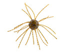 Strike King Tumbleweed Salted Bait