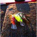 Rapala Speed Trap Black Nickel Treble Hooks Crankbait - 2-3/4"