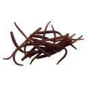 Pautzke Garlic Scented Fire Worms - 2-3/4"