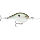 Rapala DT (Dives-To) Series Trebles Crankbait - 3/4 oz