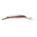 P-Line Predator Minnow Trolling Lure - 5-1/2"