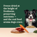 360 Freeze Dried Raw Complete Meal for Adult Dogs, Multi-Meat Formula