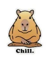 Chill Capybara Sticker