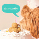 Woof Pupsicle Birthday Refill Pops