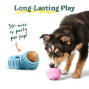 Woof Pupsicle Birthday Refill Pops
