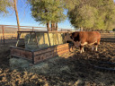 Cantrell Customs 5x12' Square Bale Feeder