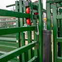 Rolling Cattle Alley Gate 800MM