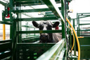 Rolling Cattle Alley Gate 800MM