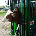 Arrow Neck Extender 108-NE