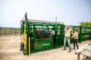 Arrowlock 55 Series Squeeze Chute Deluxe Vet 5500LV