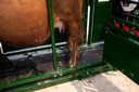 Arrowlock 75 Series Squeeze Chute