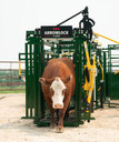 Arrowlock 75 Series Squeeze Chute