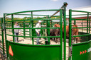 3E BudFlow® Cattle Tub 90-deg, 10ft