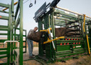 Arrowlock 88 Series Cattle Squeeze Chute 8800LV