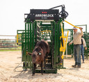 Arrowlock 88 Series Cattle Squeeze Chute 8800LV