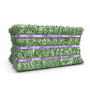 Standlee Premium Western Forage Alfalfa Compressed Hay Bale 50lb
