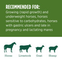 Standlee Premium Western Forage Alfalfa Compressed Hay Bale 50lb