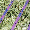Standlee Premium Western Forage Alfalfa Compressed Hay Bale 50lb