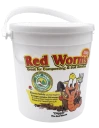 Red Worms in Pail 200ct