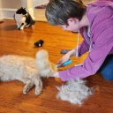 Uproot Cat and Dog Deshedder Brush