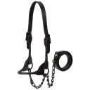 Weaver Leather Black Magic Show Halter - Medium