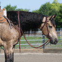 Weaver Leather Protack Oiled Extra Heavy Harness Split Rein - 5/8" X 8'