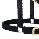 Weaver Leather Miniature Horse Adjustable Chin & Throat Snap Halter - Large