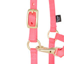 Weaver Leather Miniature Horse Adjustable Chin & Throat Snap Halter - Large