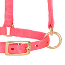 Weaver Leather Miniature Horse Adjustable Chin & Throat Snap Halter - Large