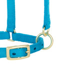 Weaver Leather Miniature Horse Adjustable Chin & Throat Snap Halter - Large