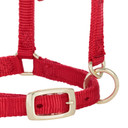 Weaver Leather Miniature Horse Adjustable Chin & Throat Snap Halter - Large
