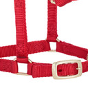 Weaver Leather Miniature Horse Adjustable Chin & Throat Snap Halter - Large
